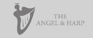 DRYFC Shirt Sponsors The Angel and Harp